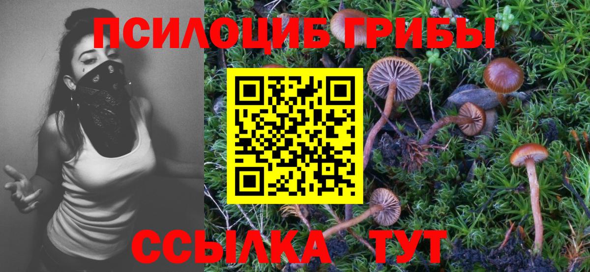 Галлюциногенные грибы Psilocybe  Вход с VPN  Галлюциногенные грибы прущие грибы  закладки  Амурск 